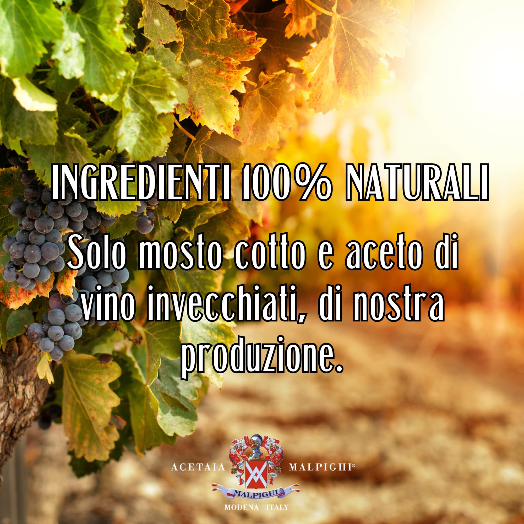 acetaia-malpighi-aceto-balsamico-di-modena-igp-invecchiato-250-ml image 7