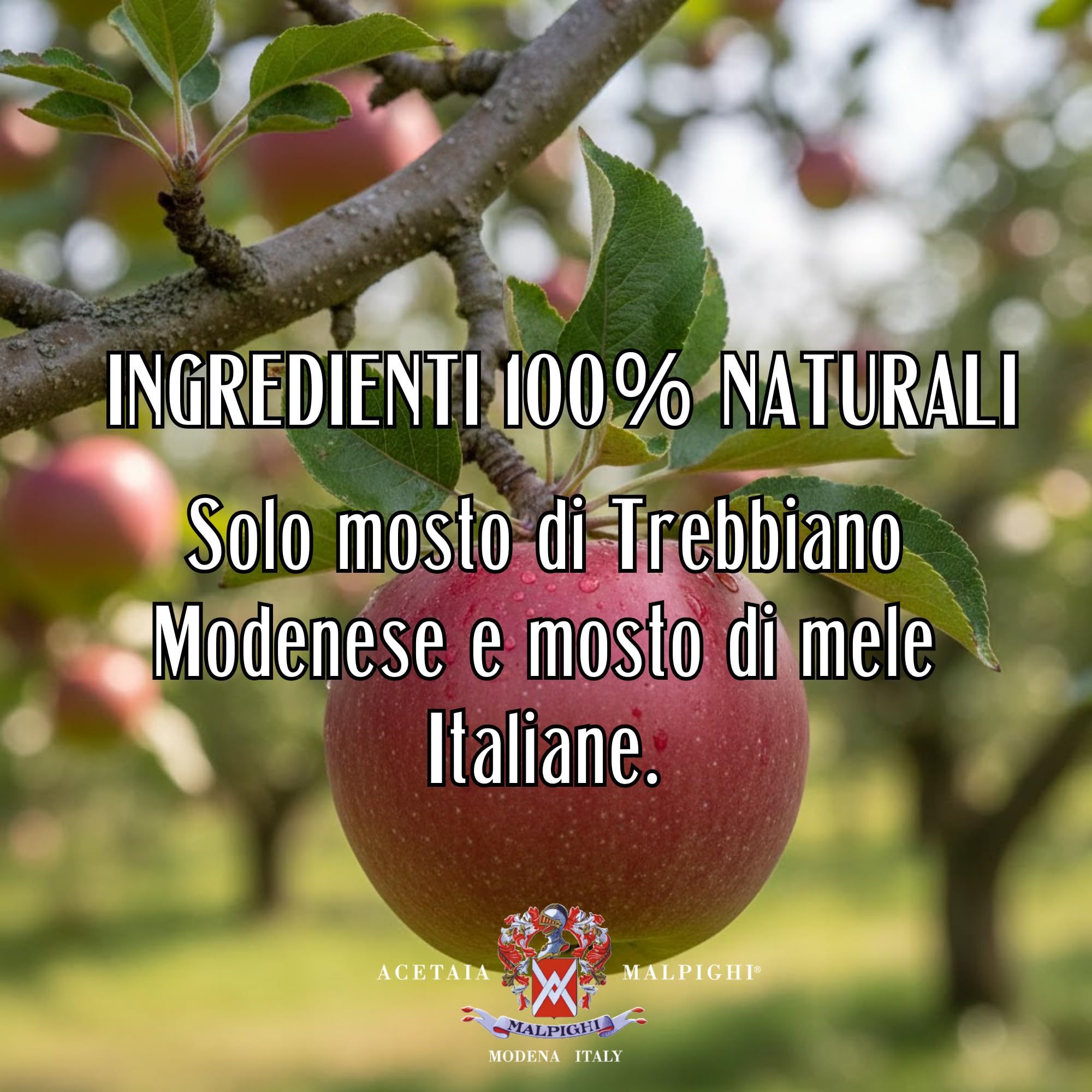 acetaia-malpighi-condimento-alla-mela-100-ml-da-mele-italiane-senza-caramello image 8