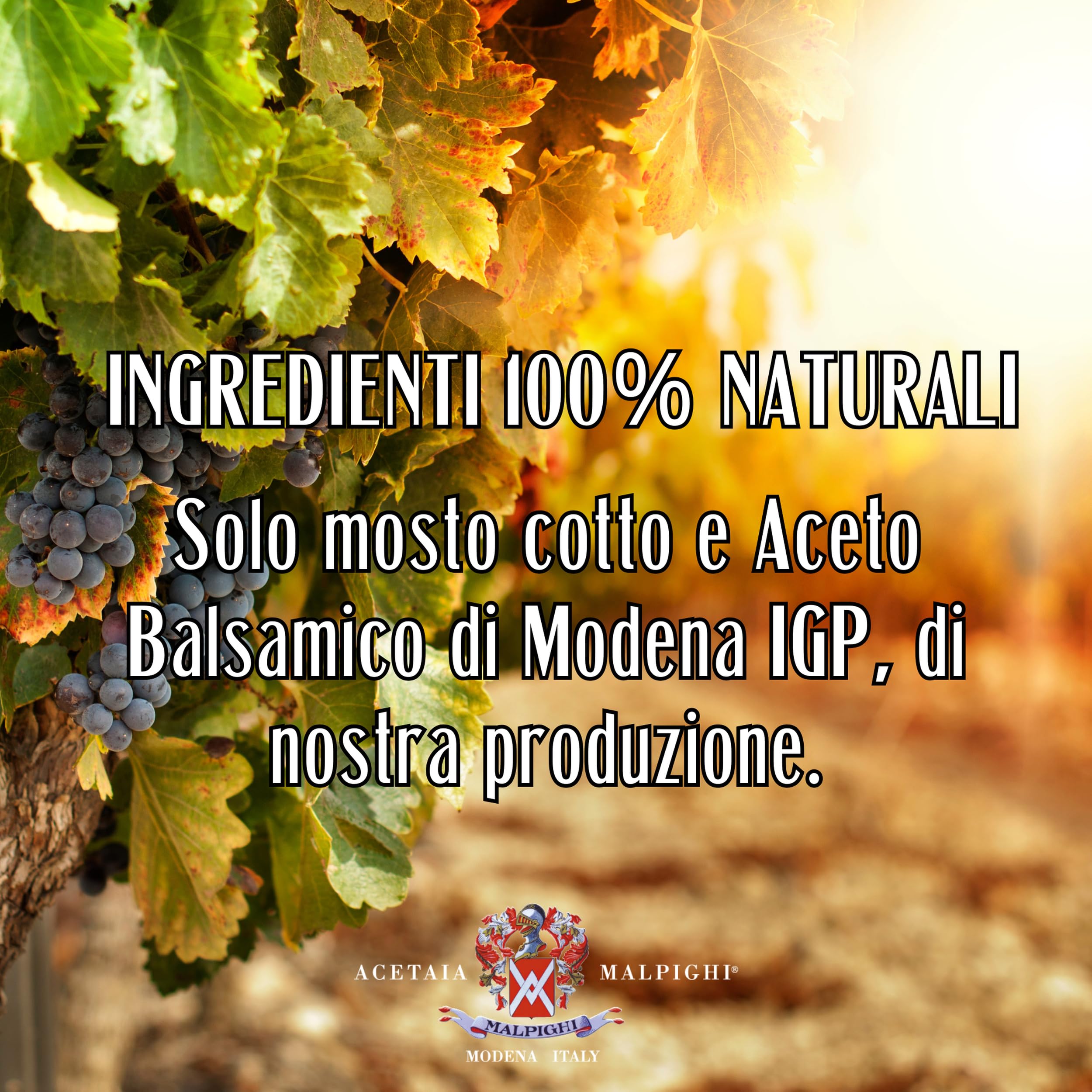 acetaia-malpighi-saporoso-6-anni-condimento-all-aceto-balsamico-di-modena-igp-6- image 8