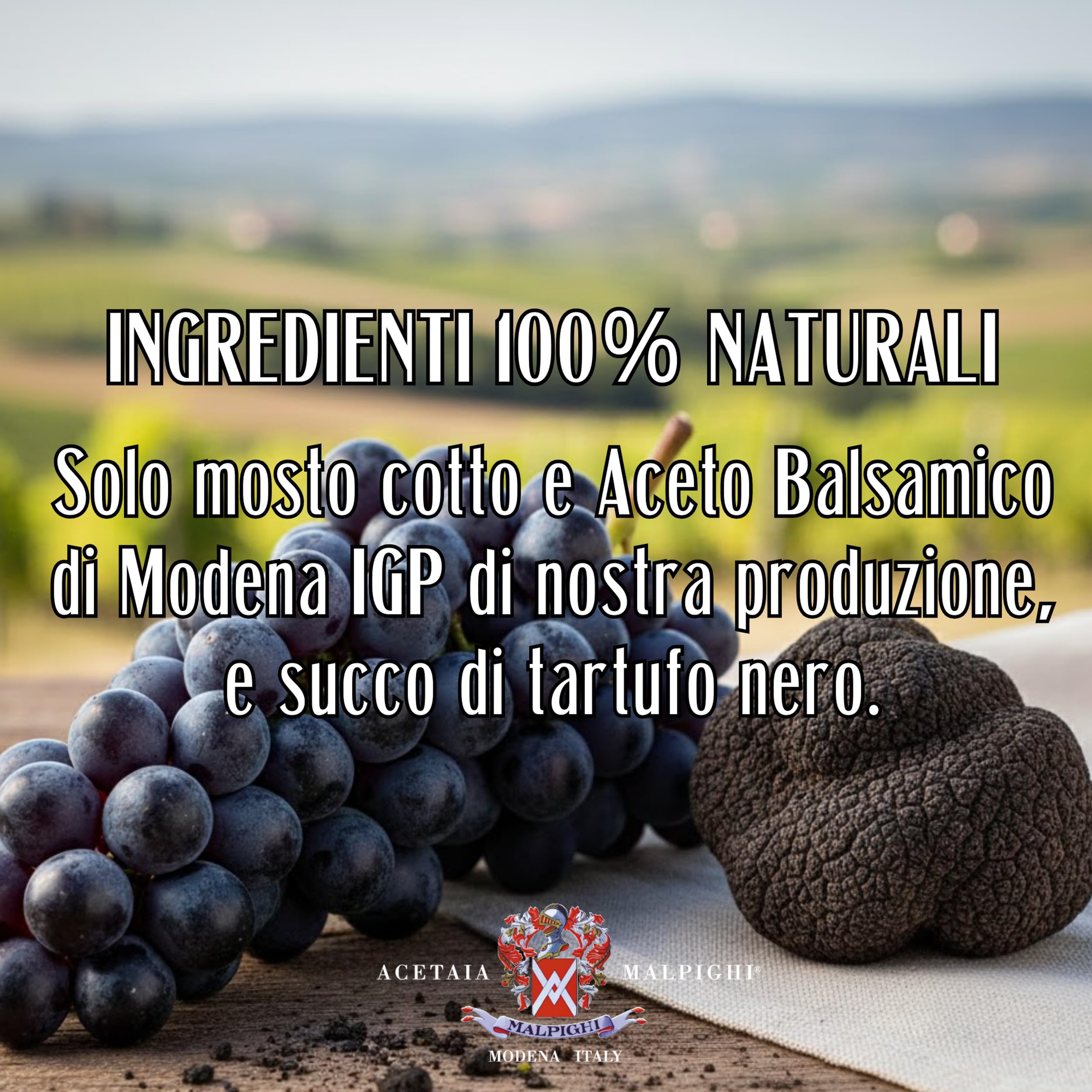 acetaia-malpighi-condimento-all-aceto-balsamico-di-modena-igp-al-tartufo-nero-10 image 7