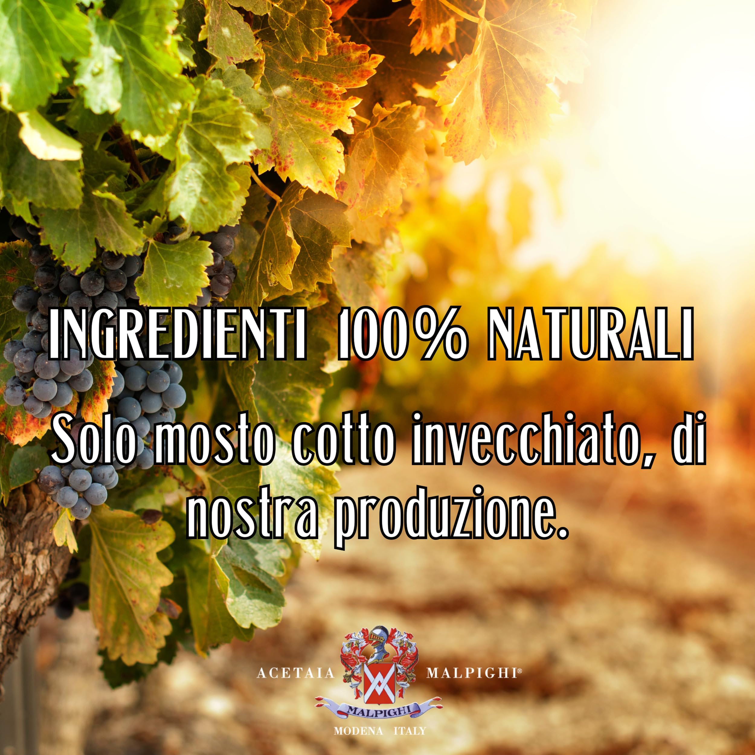 acetaia-malpighi-aceto-balsamico-tradizionale-di-modena-dop-extravecchio-ciliegi image 5