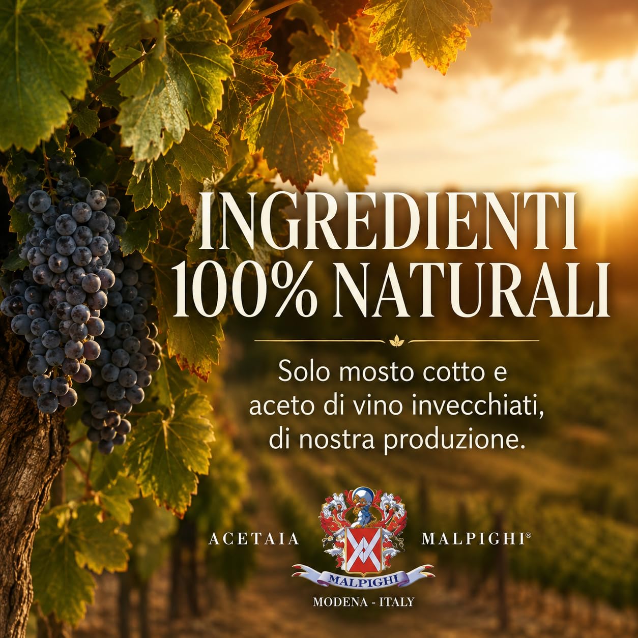 acetaia-malpighi-aceto-balsamico-di-modena-igp-biologico-250-ml-senza-caramello image 4