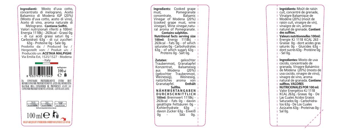 acetaia-malpighi-condimento-all-aceto-balsamico-di-modena-igp-al-melograno-100-m image 2