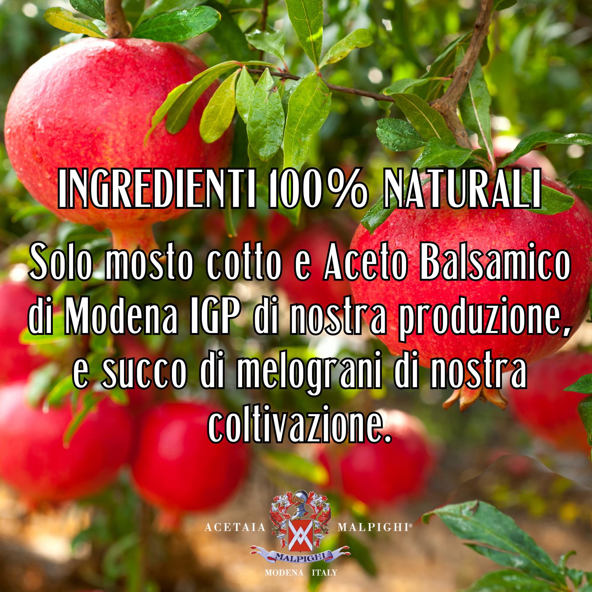 acetaia-malpighi-condimento-all-aceto-balsamico-di-modena-igp-al-melograno-100-m image 7