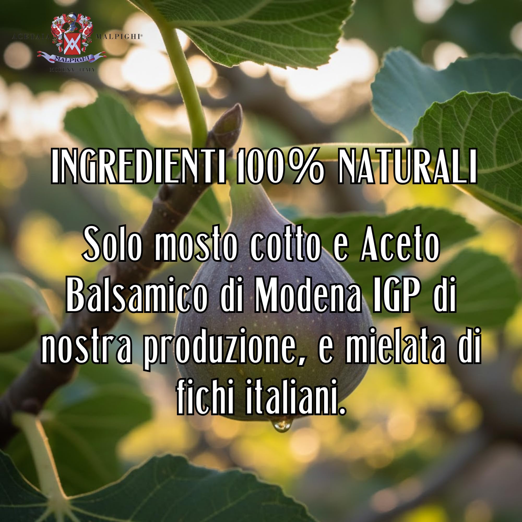acetaia-malpighi-condimento-balsamico-igp-e-fichi-100-ml-senza-caramello image 7