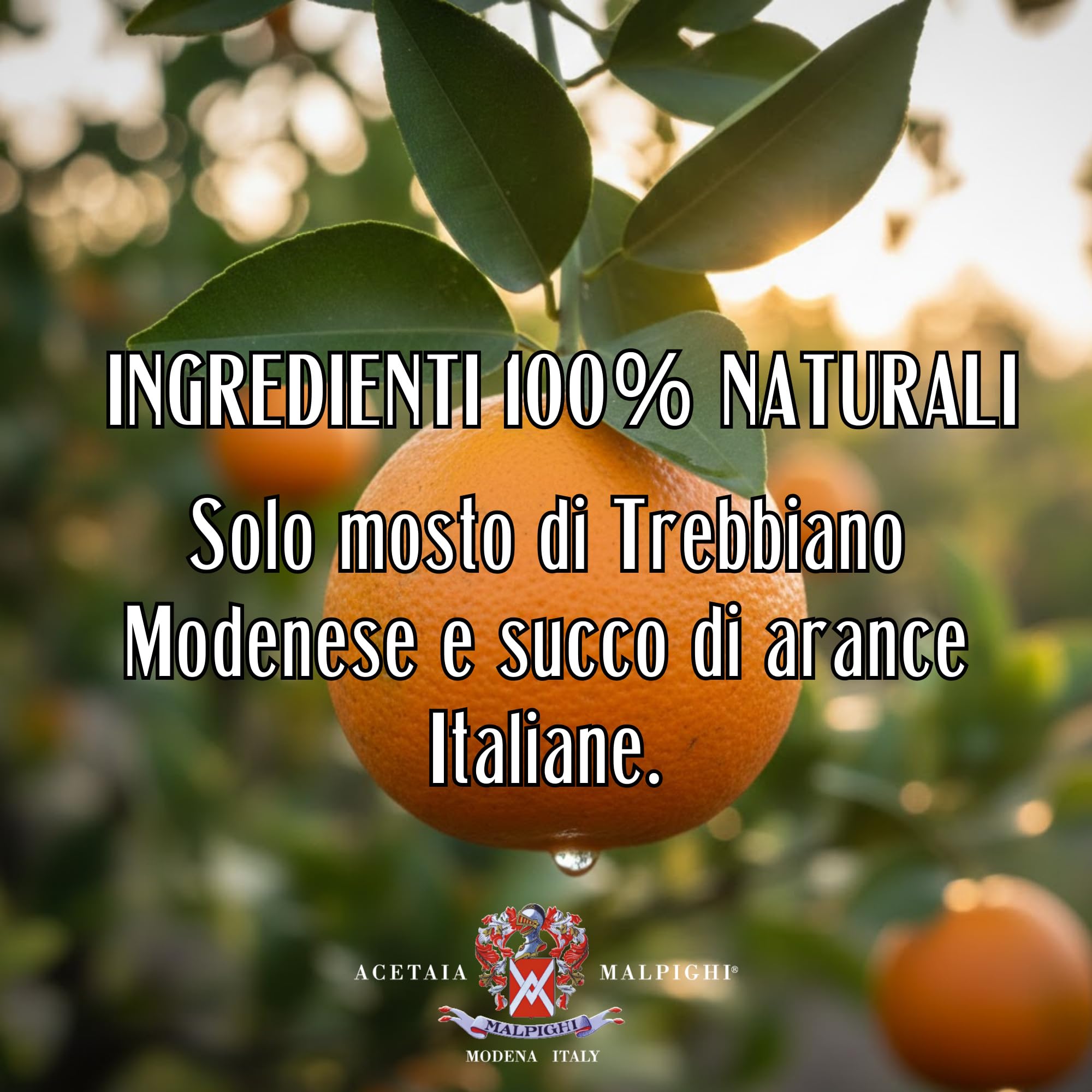 acetaia-malpighi-condimento-bianco-all-arancia-100-ml-senza-caramello image 8