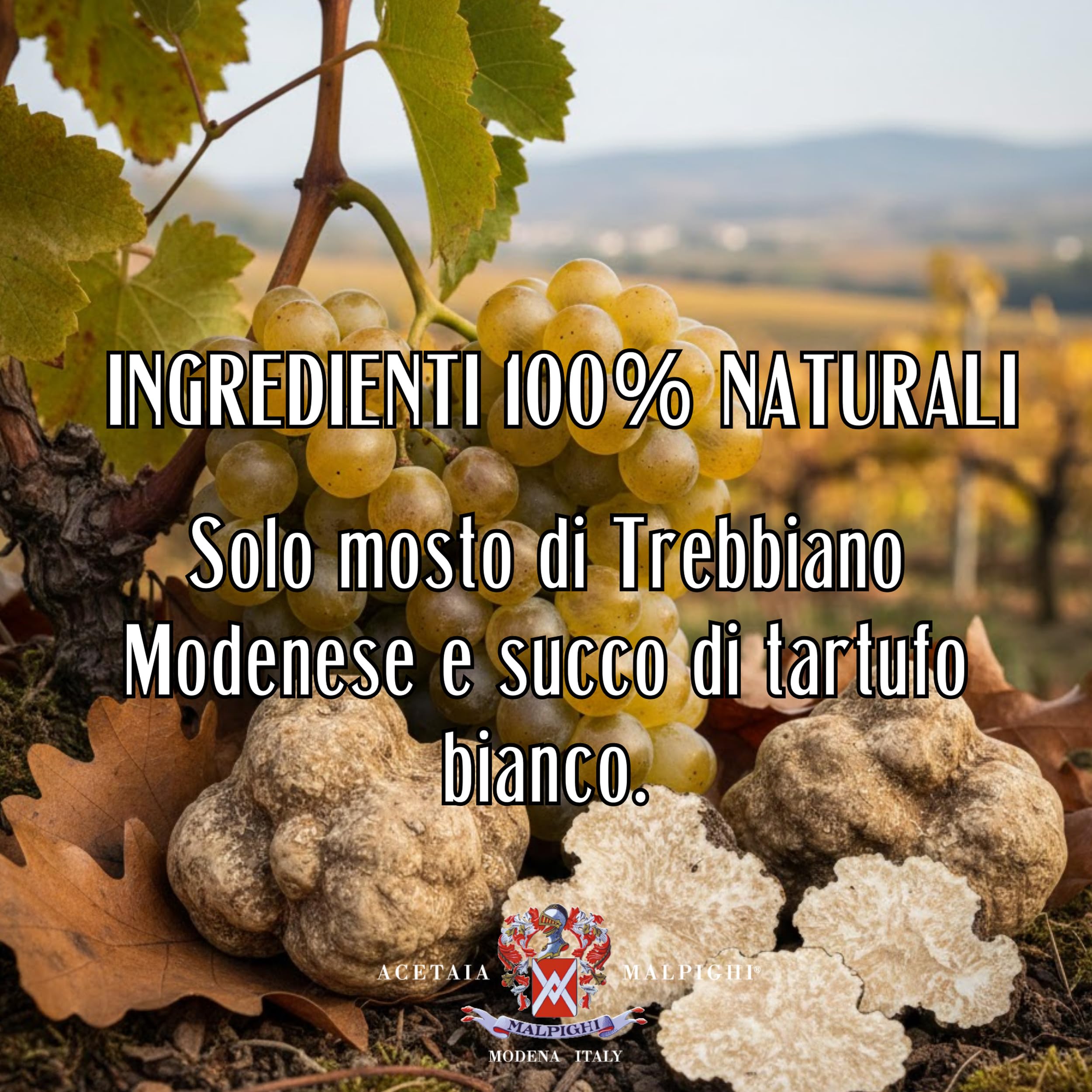 acetaia-malpighi-condimento-bianco-al-tartufo-bianco-100-ml-senza-caramello image 8