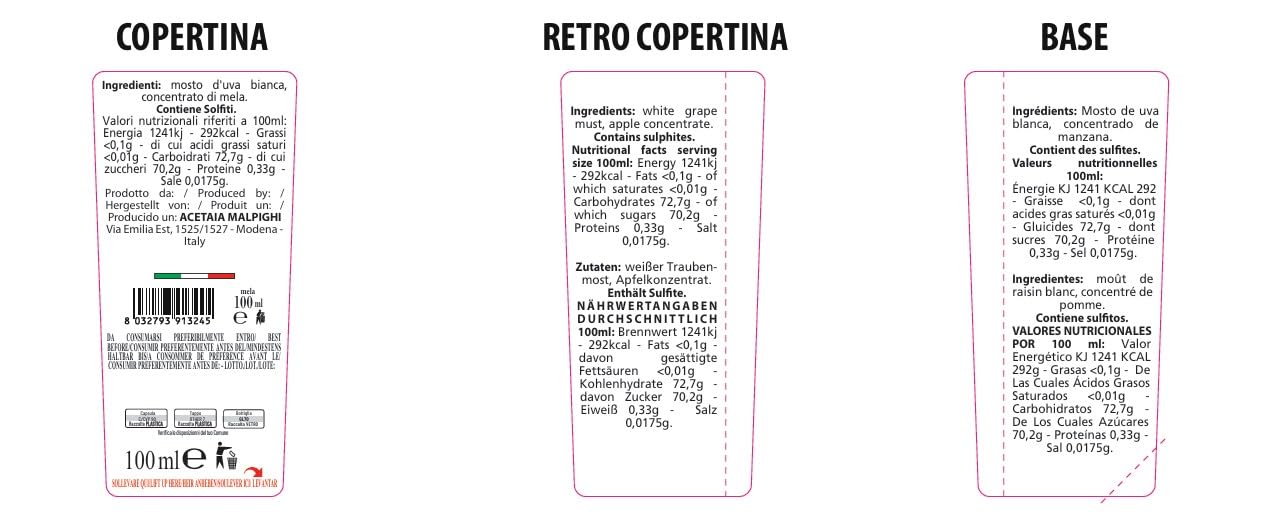 acetaia-malpighi-condimento-alla-mela-100-ml-da-mele-italiane-senza-caramello image 2