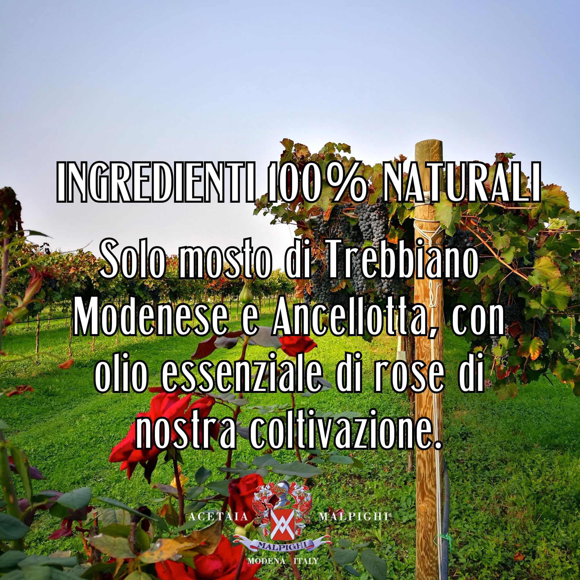 acetaia-malpighi-condimento-ros-prelibato-riserva-200-ml-con-essenza-naturale-di image 3